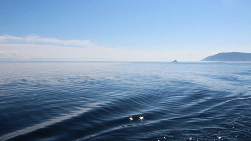 Иркутские ученые изучили источники поступления санитарно-показательных бактерий в прибрежную зону Байкала